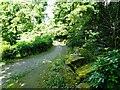 Path over Raveden Brook