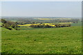 View from Farthing Common