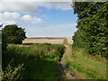 Farm track opposite Dembleby House Farm