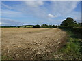 Stubble field near Aunsby