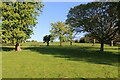 Fence separating Compton Park from The Royal Eastbourne Golf Course