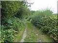 Footpath 4Ba, Balcombe