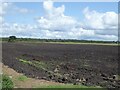 Tilled land on Barton Moss