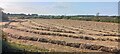 Fields awaiting baling