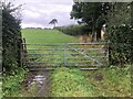 Pasture opposite Keld Farm