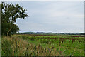 Flat land near Borrow Moss