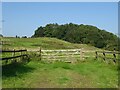 Hillside grazing and woodland, Acton Bridge