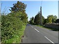 Ash Tree Lane