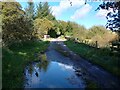 Narrow road crossing River Avon