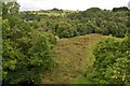 The Upper Don Valley, Thurgoland, South Yorkshire