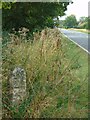 Old Milestone by the A631, Main Road, west of North Willingham