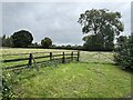 Fields adjacent to Llwyntidmon Hall