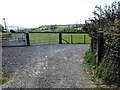 Lane and field at Tynyllan farm