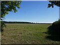 Grass field near Abbots Morton