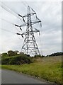 Pylon on Finchingfield Road, Robin Hood End