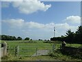 Pasture land next to the Bryansford Road