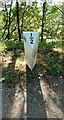 Leeds and Liverpool Canal milepost on SW side of canal near Elam Grange