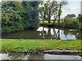 Pond by Fanns Farm Road, Oxen End