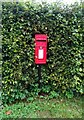 Elizabeth II postbox on Salters Lane, Picton Gorse