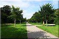 SX0864 : Path in the grounds of Lanhydrock by DS Pugh