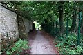 Footpath from Marlborough Avenue