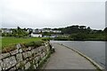 Path along the south edge of Swanpool