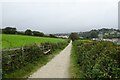 SW8030 : Bench along the path to Swanpool by DS Pugh