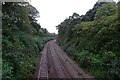 Railway approaching Carlyon Road