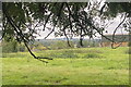 Farmland near Mackworth