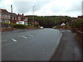 Coppice Lane, Mushroom Green