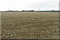 Ploughed field by North Lodge