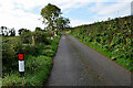 Road markers along Corrashesk Road