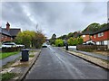 Autumn in Whitfield Road