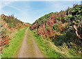 Old Railway Trackbed