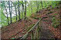 NH8067 : Short boardwalk on the South Sutor path by Julian Paren