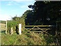 Track (footpath) off Holt Road