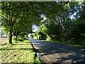 Cromer Road (A148) towards King