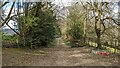 Gates on the Herefordshire Trail