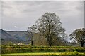 Caersws : Countryside Scenery