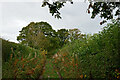 Byway south-east of Heathton in Shropshire