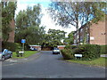 Hart Drive, Boldmere