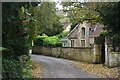 Lane through Combe Hay