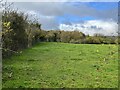 Field adjacent to solar farm