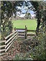 Gate, for footpath exiting wood