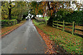 Fallen leaves along Letfern Road