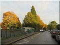 Autumn colours in Wolvercote, near Oxford