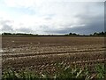 Stubble field off Coltishall Road