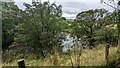 River Annan near Moffat