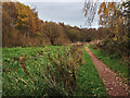 Monkland Canal near Calderbank