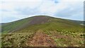 S8452 : Peaty ridge leading west towards Mount Leinster by Colin Park